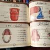 ⁦التجويد المصور⁩ - الصورة ⁦2⁩