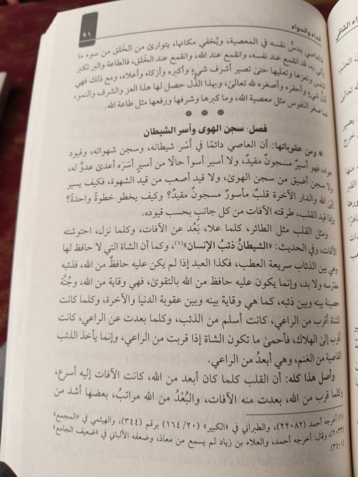 الداء والدواء غلاف - الصورة 3